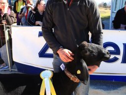 2019_ausstellung polling_344